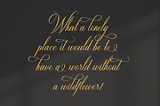 Cathialla calligraphy script font, a Script Font by nizarbagasm (Thumbnail 2 of 9)