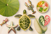 Tropical Playground PNG Objects, an Object Graphic by Iconogenic (Thumbnail 5 of 7)