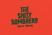The Salty Sombrero Typeface, a Sans Serif Font by Nicky Laatz (Thumbnail 11 of 18)