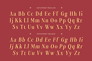 Sofiatweet - Modern Serif Duo Style, a Serif Font by Typia Nesia (Thumbnail 2 of 13)
