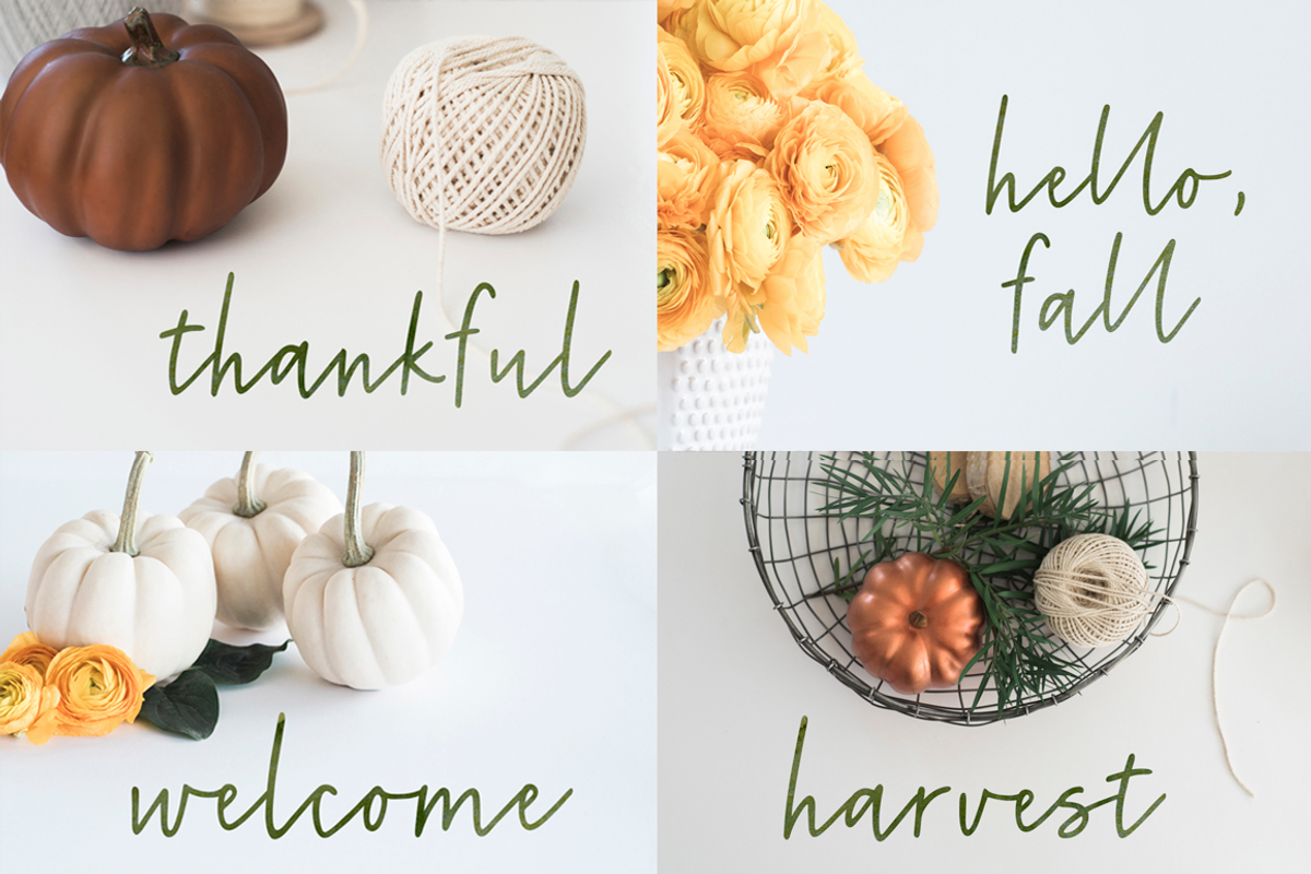 Harvest Grey preview 4