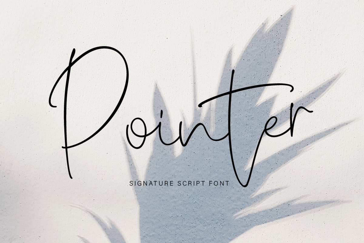Pointer