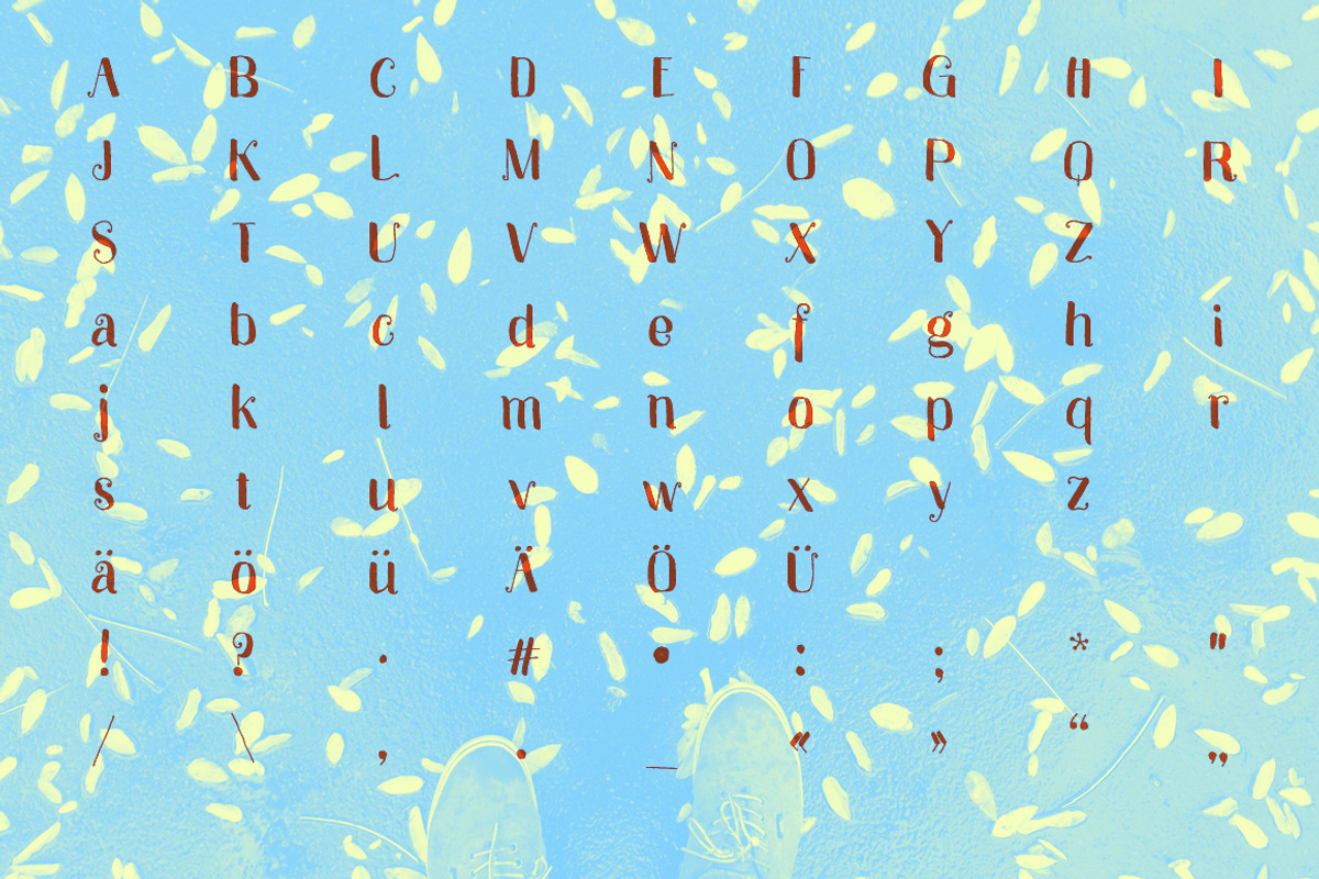 Anya – Beautiful Handwritten Font, a Serif Font by Studio ZACK (Photo 11 of 11)