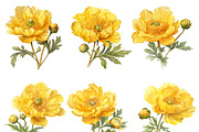 Watercolor Yellow Flower Clipart, an Object Illustration by Design Scotch (Thumbnail 3 of 7)