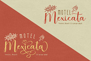 Alocasia-Trio Font Combination, a Script Font by Burntilldead (Thumbnail 9 of 17)