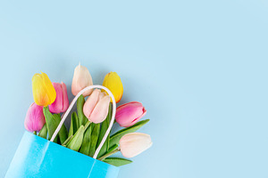 Spring tulips flowers bouquet in paper shopping bag on pastel ba, a Photo by Rimma