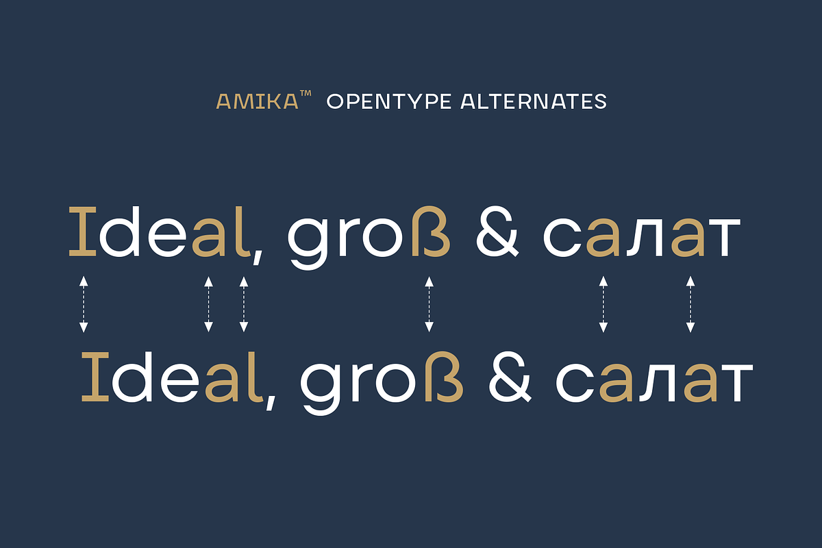 Amika, a Sans Serif Font by Craceltype (Photo 4 of 10)