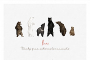Fantastic Holiday-Winter collection, an Animal Illustration by Graphic Box (Thumbnail 6 of 13)