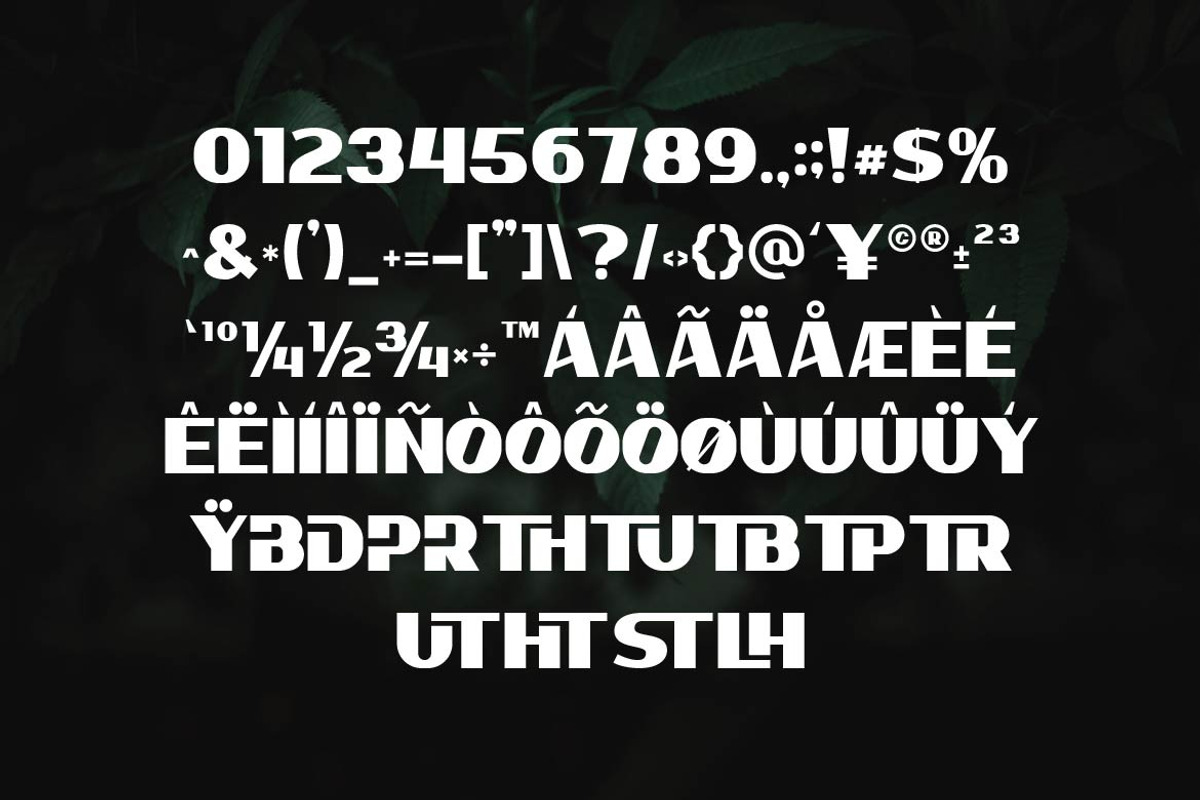 Trucho Bold Sans Font, a Sans Serif Font by Artiveko (Photo 7 of 8)