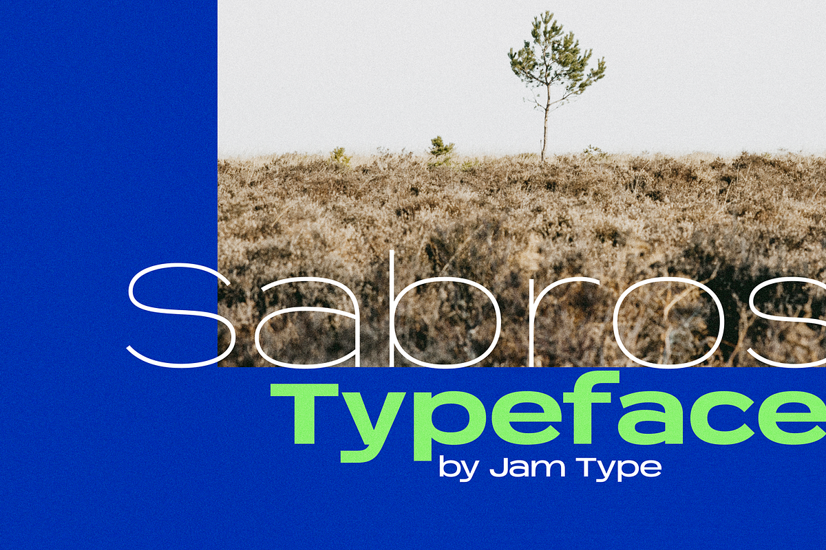 Sabrosa Family, a Sans Serif Font by JAM Type (Photo 1 of 13)