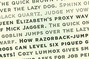 Veneer, a Serif Font by Loudoun Design Co. (Thumbnail 3 of 11)