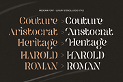 Mediora – Luxury Stencil Logo Font, a Serif Font by Sensatype (Thumbnail 9 of 13)