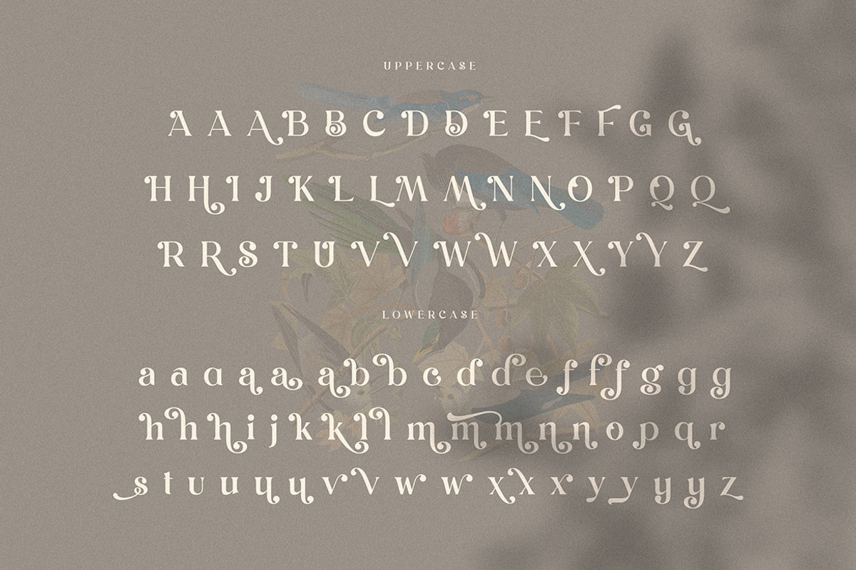 Trendy & Modern Fonts - 10 Sets, a Sans Serif Font by Cruzine (Photo 23 of 55)