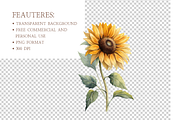 Watercolor Sunflower Clipart Bundle, an Illustration by MockupWizard (Thumbnail 4 of 5)