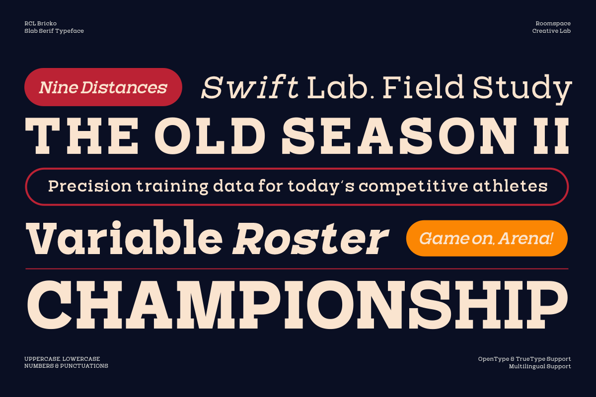 Bricko – A Bold Modern Slab Serif, a Slab Serif Font by roomspace creative lab (Photo 14 of 15)