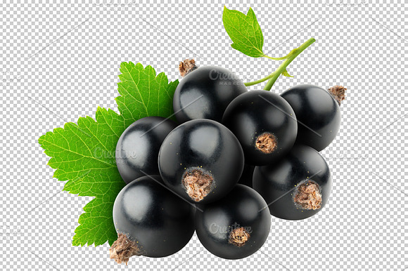 Bunch Of Black Currants