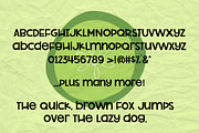 NEW!! Pickleberry Font, a Sans Serif Font by Sabrina Schleiger Design (Thumbnail 3 of 5)