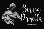 Charlote Shine, a Script Font by Essentials Studio (Thumbnail 3 of 10)