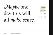 Panasea | 12 Fonts, a Serif Font by Skinny Type (Thumbnail 6 of 15)