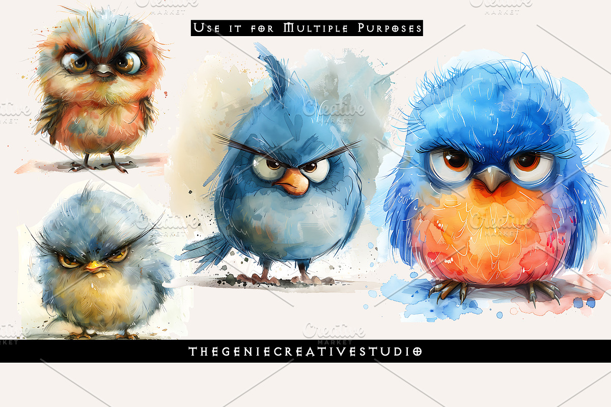 Fluffy Grumpy Bird PNG Clipart Set, an Animal Illustration by Geniecreativestudio (Photo 6 of 9)