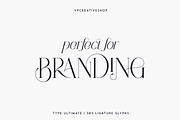 Type Ultimate - serif logo font, a Serif Font by VP Fonts (Thumbnail 6 of 24)