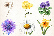 Watercolor Wild Flowers Clipart, an Illustration by DreamCafeArt (Thumbnail 2 of 7)