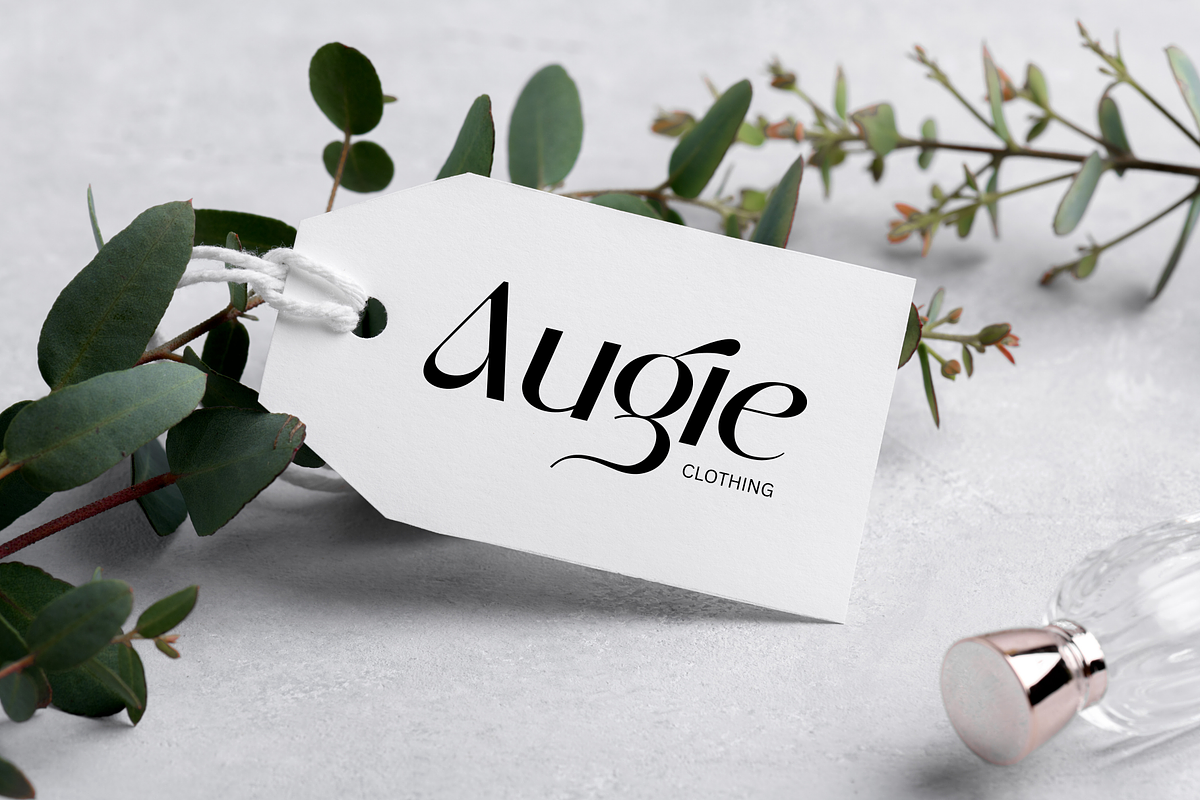 Begies - Modern Display Font, a Sans Serif Font by Sronstudio (Photo 2 of 14)