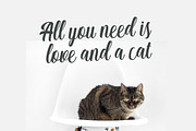 Matilda Anderson, a Script Font by Debut Studio (Thumbnail 5 of 8)