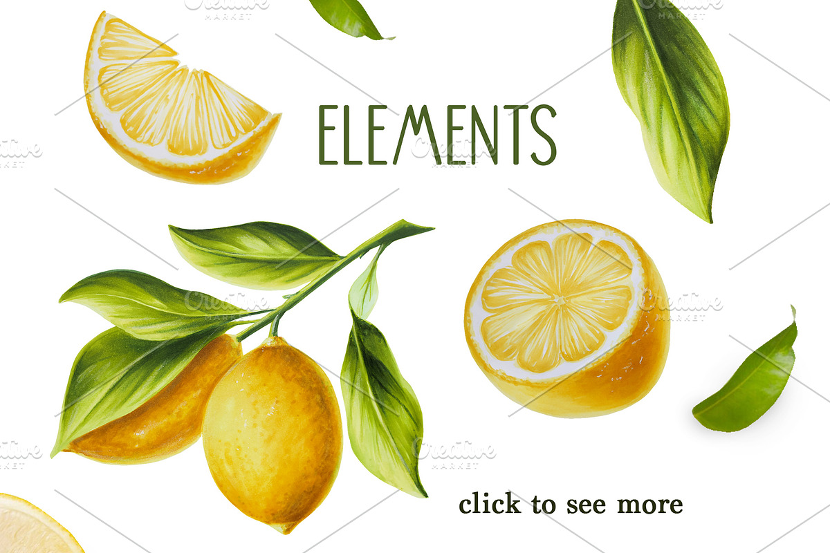 Lemons hand drawn clip art, a Food Illustration by Navenzeles (Photo 3 of 8)