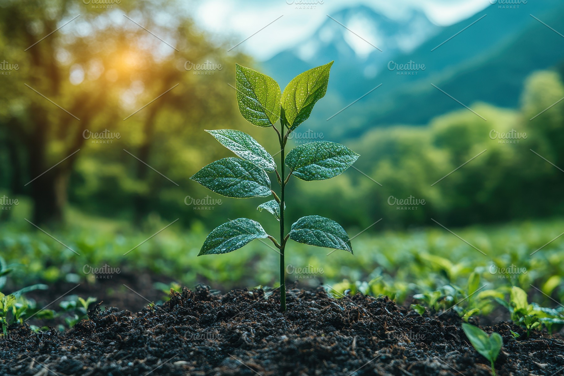 New sapling grows in lush green land, a Photo by Tanuart
