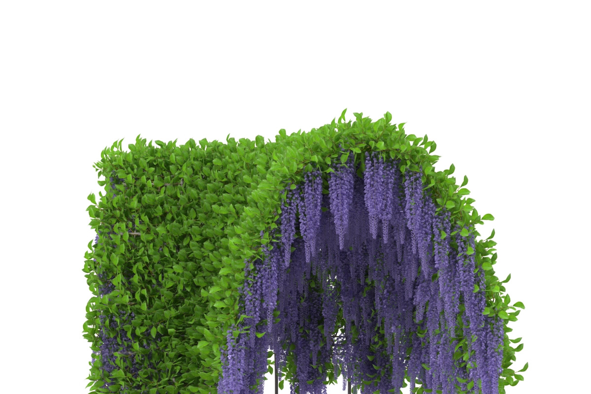 Wisteria Corridor#2, an Environmental 3D Model by AndrewWhite (Photo 3 of 8)