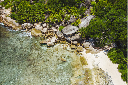 Secluded tropical exotic beach in, a Nature Photo by Igor Tichonow