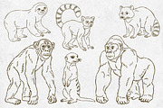 Wild Animals Line Art, an Animal Illustration by Tekuni (Thumbnail 8 of 12)