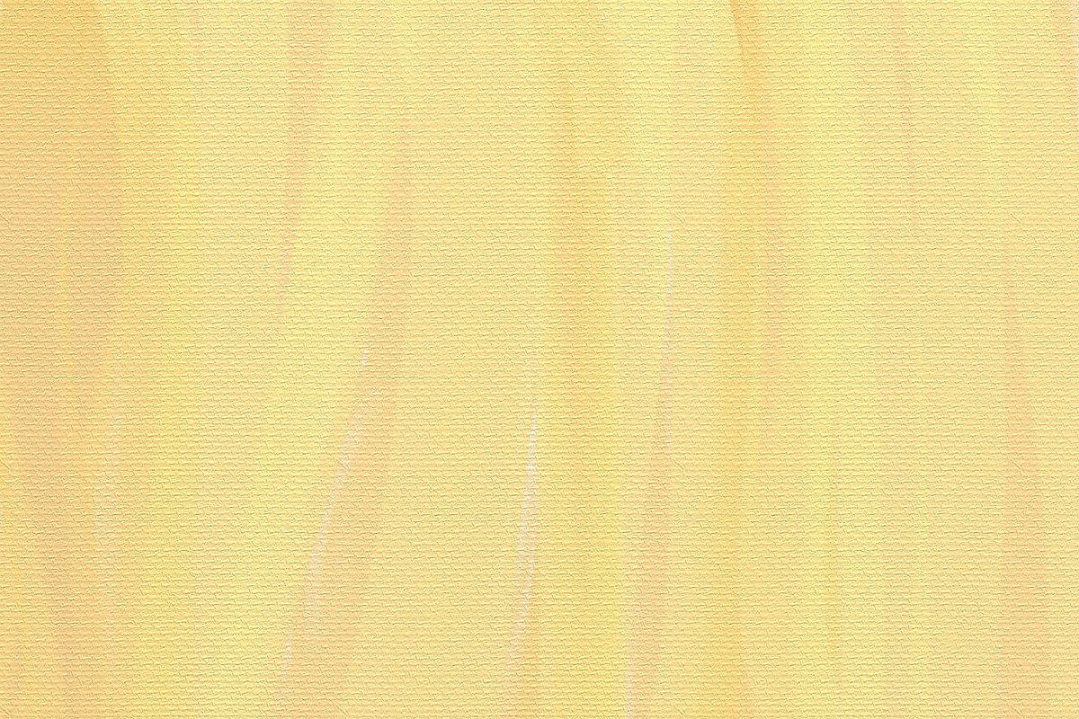 6 Canvas Backgrounds preview 6