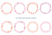 Seashells Collection, an Object Illustration by yarynabo (Thumbnail 6 of 14)