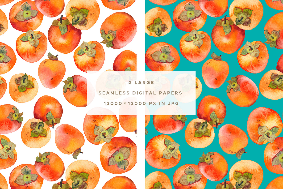 Watercolor Persimmon Fruits Clipart, a Food Illustration by Olga Begak Art & Design (Photo 4 of 9)