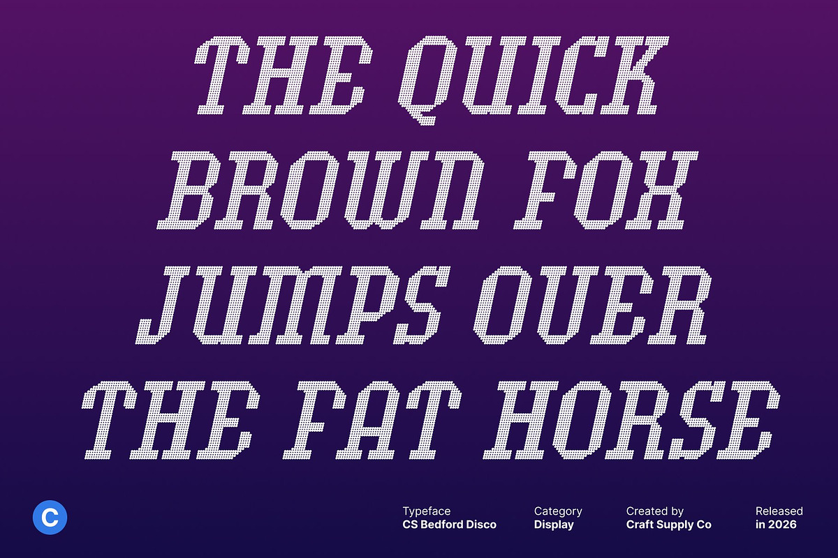 CS Bedford Disco, a Slab Serif Font by Craft Supply Co. (Photo 7 of 8)