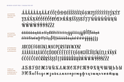 Bonnie Script Pro, a Script Font by Type and Graphics Studio (Thumbnail 22 of 26)