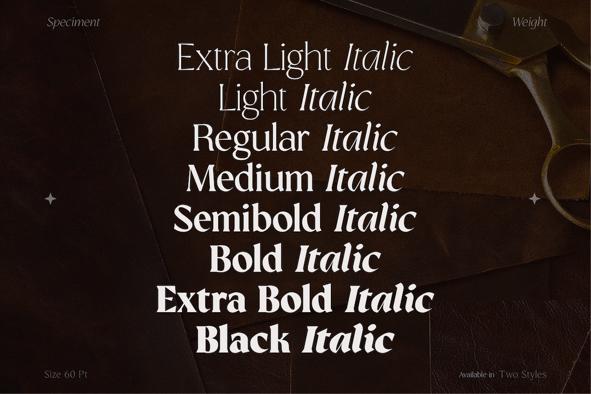 GC Prometheus – Serif Family, a Serif Font by Glyphonic (Photo 6 of 15)