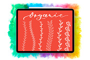 Decorative Lines and Patterns Bundle, a Brush Add-On by buntegalerie (Thumbnail 4 of 6)
