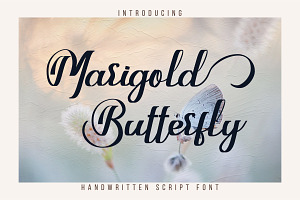 Marigold Butterfly