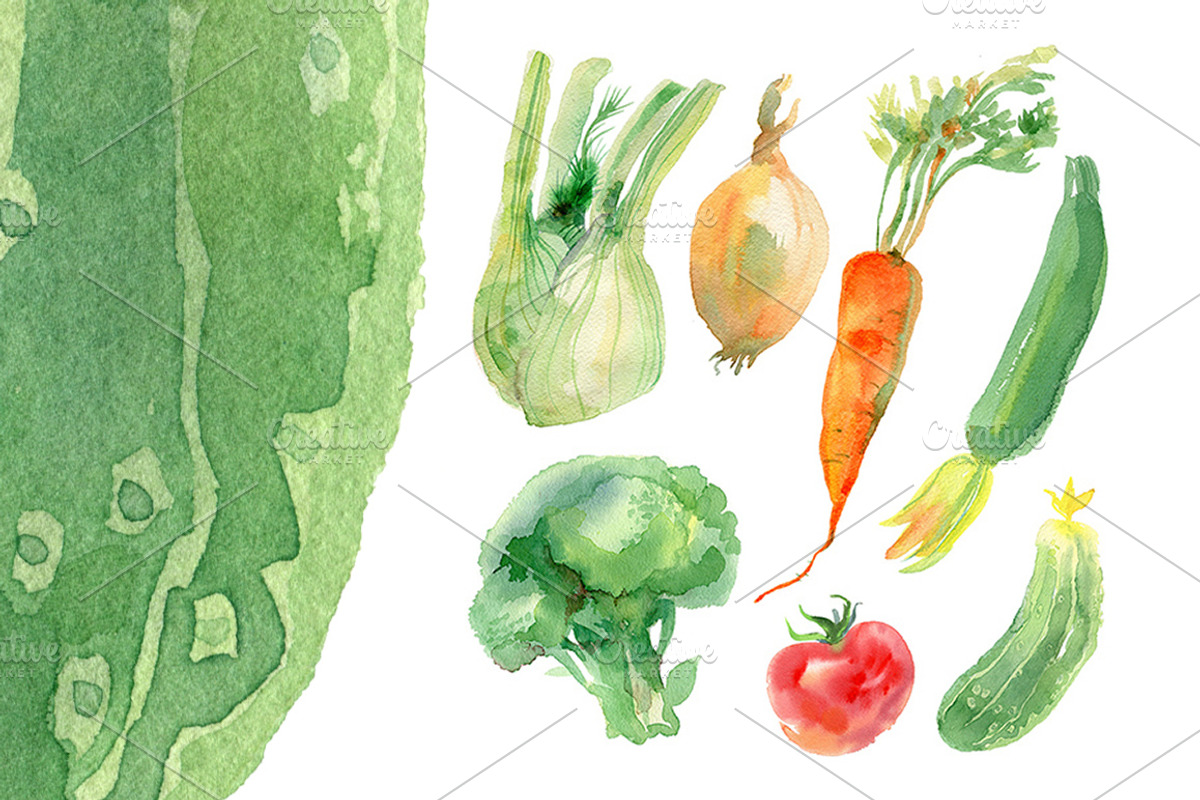 Watercolor vegetables set, a Food Illustration by Natasha Koltsova
