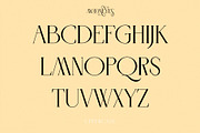 MOONEYES - Modern Serif, a Serif Font by erlosDESIGN (Thumbnail 10 of 15)