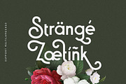 Baxoe | Elegant and Fancy Typeface, a Sans Serif Font by 160 Studio (Thumbnail 5 of 14)