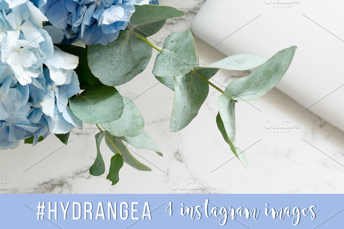 #Hydrangea. 4 Instagram images, a Product Mockup by Bang Bang Bureau (Photo 1 of 4)