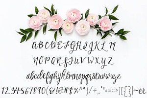 Birchwood Calligraphy Font