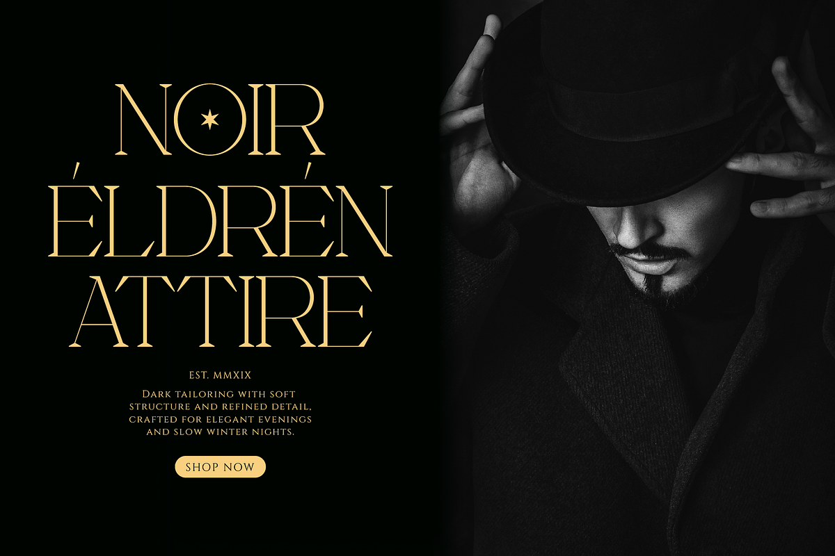 Neo Joel | Display Serif, a Serif Font by gracetype_studio (Photo 5 of 12)