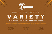 Studioso – Slab & Sans Serif Combo, a Slab Serif Font by Lateral Design (Thumbnail 2 of 7)