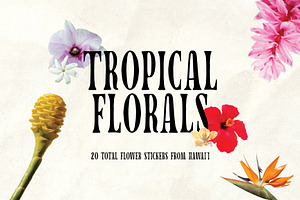 Tropical Floral Pack