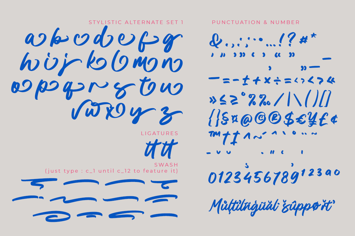 Karl Sirka, a Script Font by Colllab Studio (Photo 17 of 18)